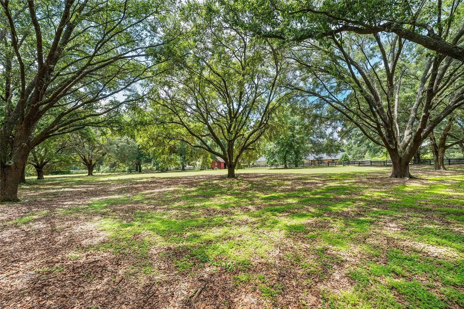 6968 SW 99th Street Ocala FL 34476
