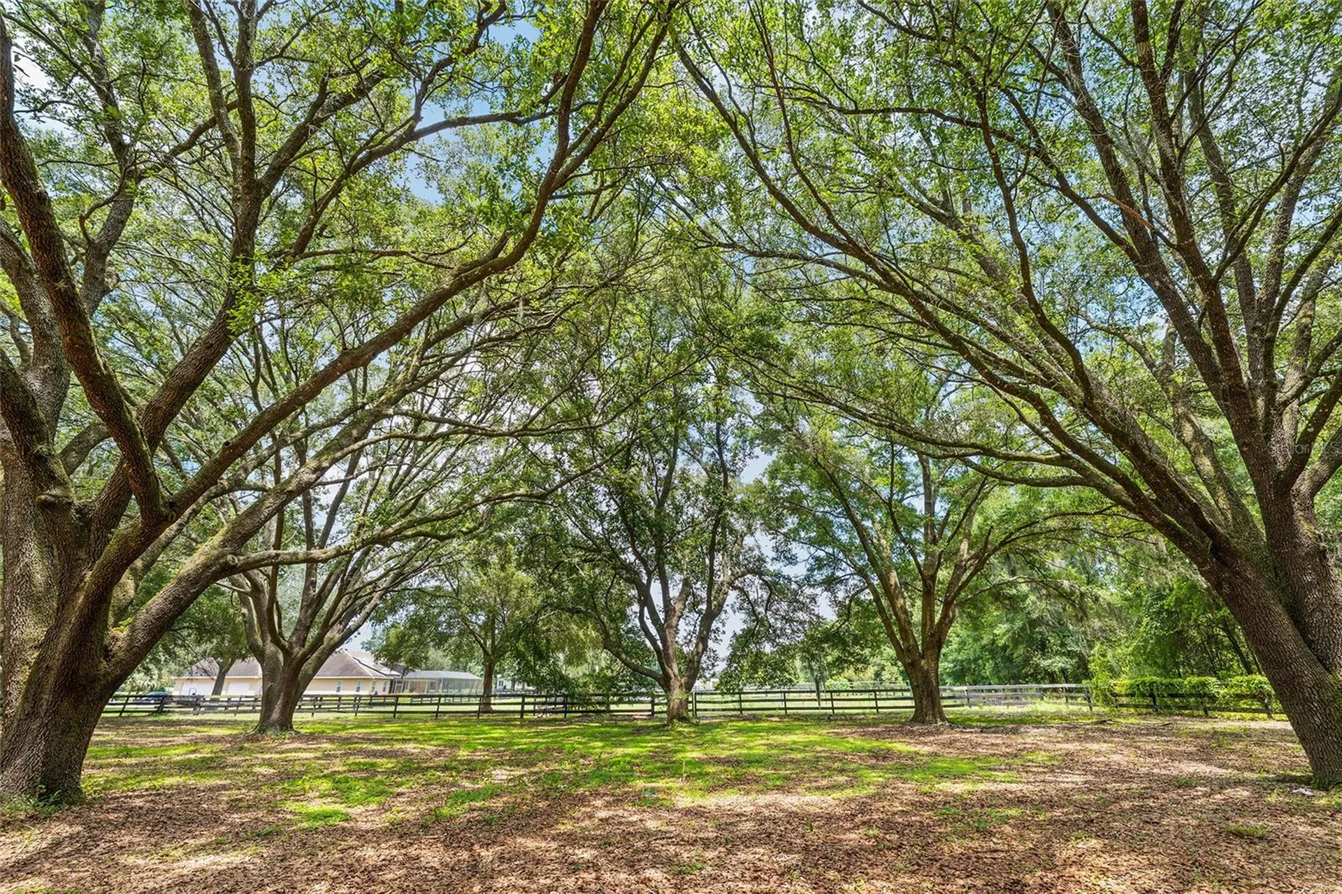 6968 SW 99th Street Ocala FL 34476