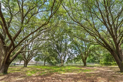 6968 SW 99th Street Ocala FL 34476