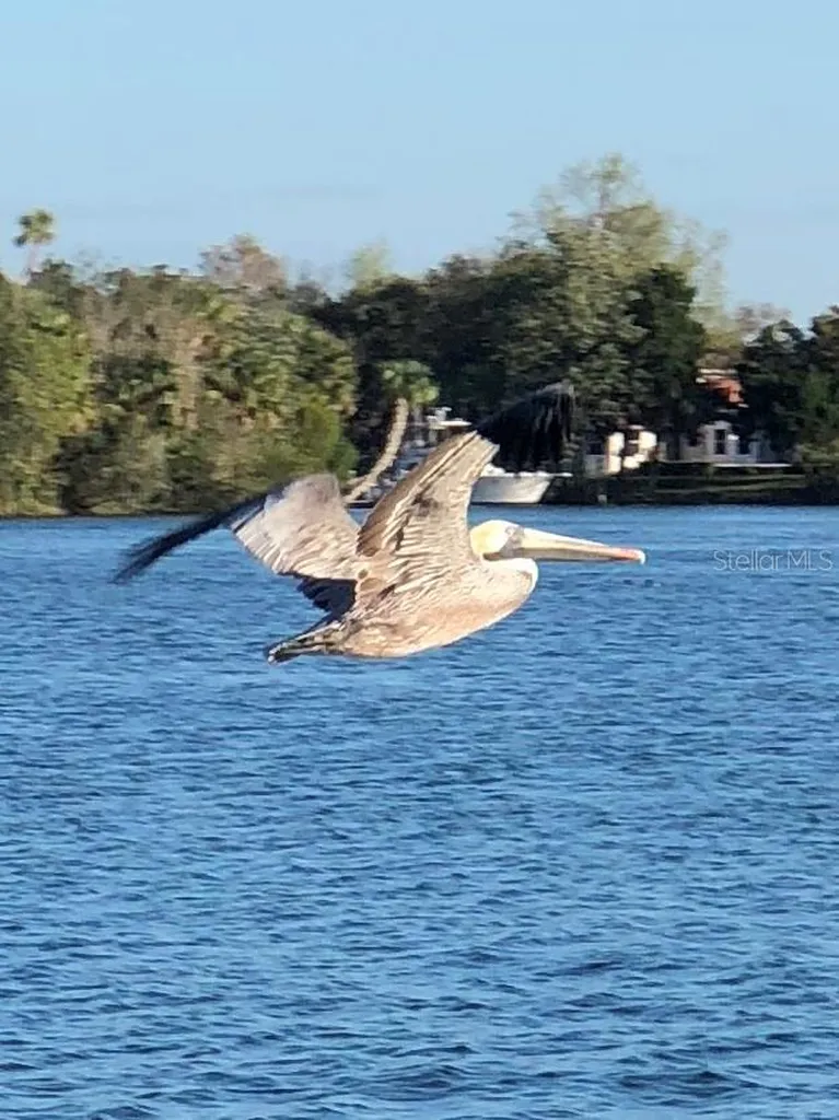 11025 W Harbor Watch Loop Crystal River FL 34428