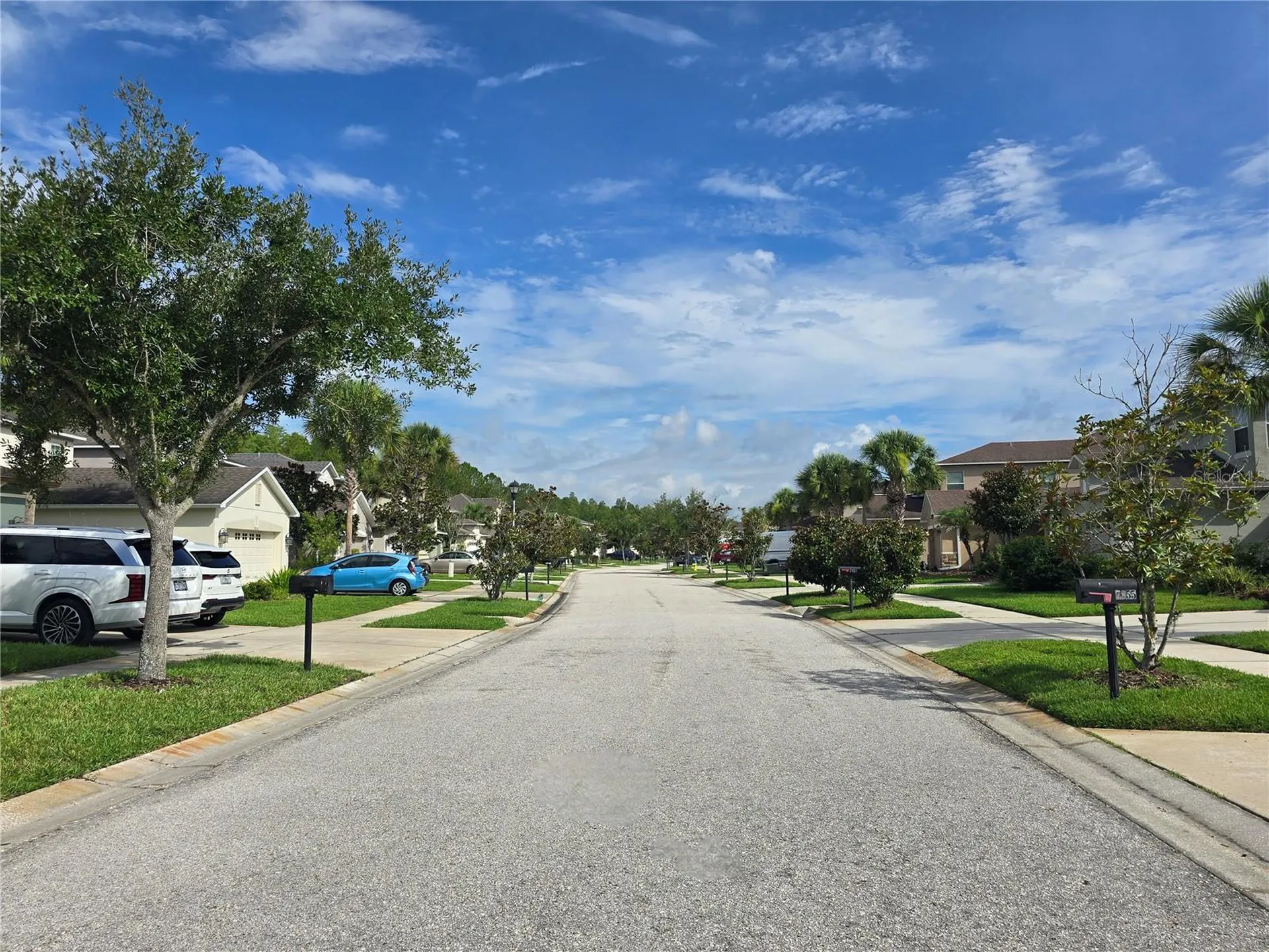 7855 Tuscany Woods Drive Tampa FL 33647