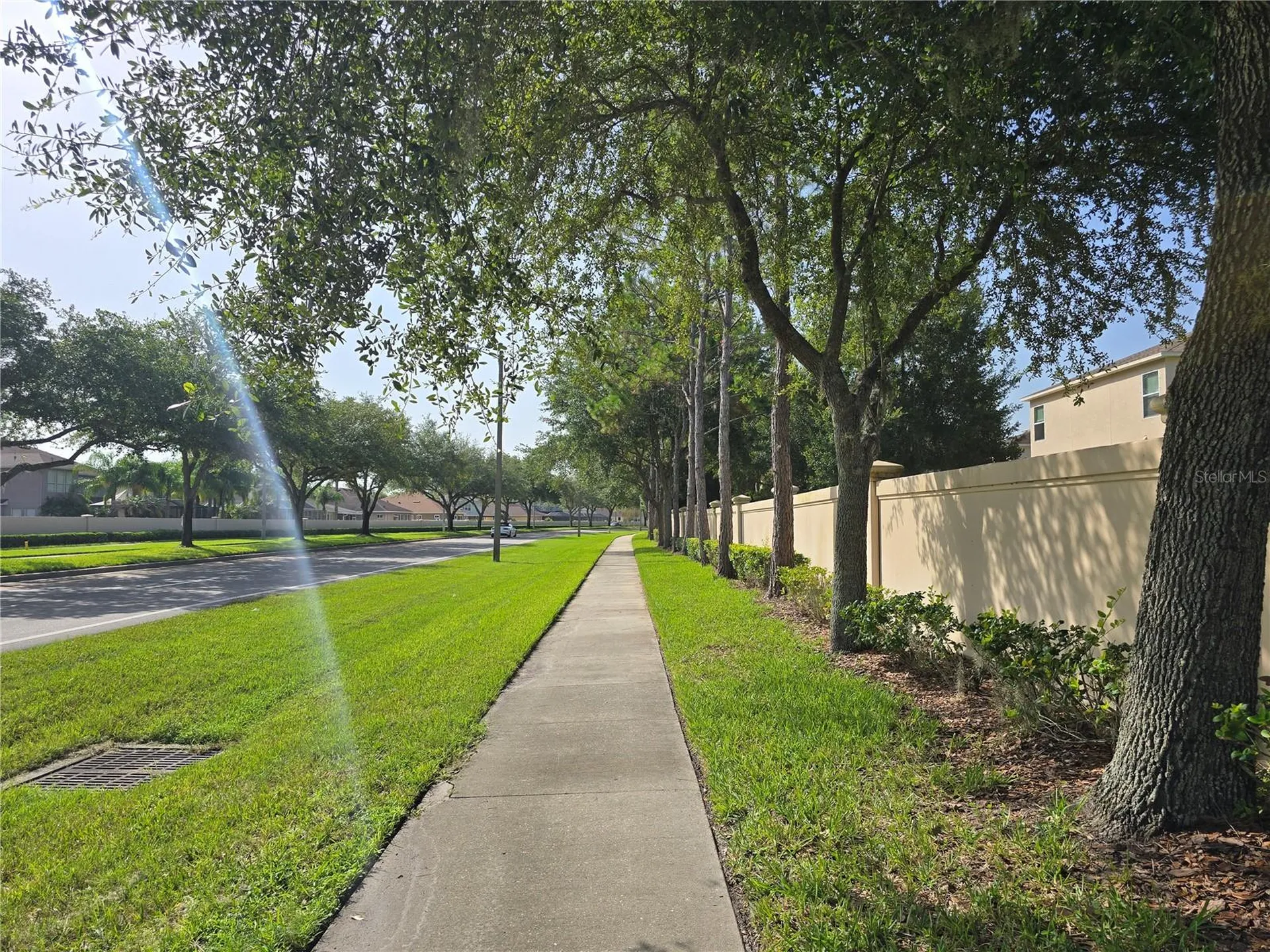 7855 Tuscany Woods Drive Tampa FL 33647