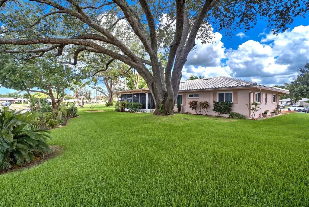 1520 Kenmore Court Palm Harbor FL 34684