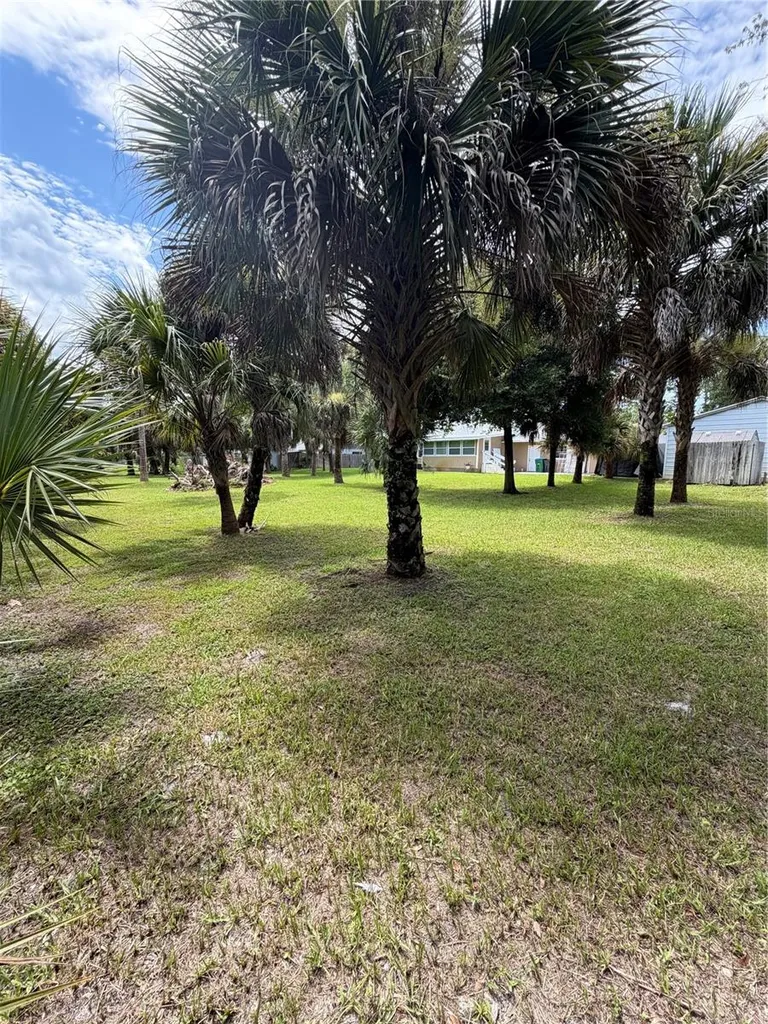 207 E Halifax Avenue Oak Hill FL 32759
