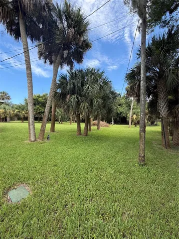 207 E Halifax Avenue Oak Hill FL 32759