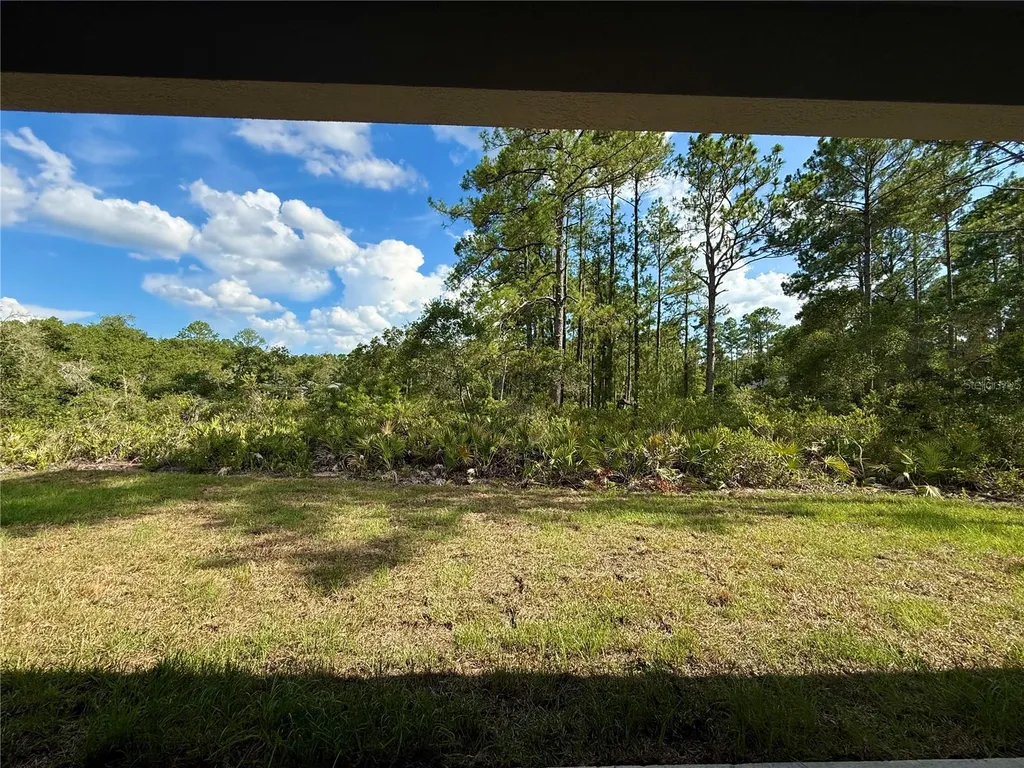 30280 W Bluebell Avenue Eustis FL 32736