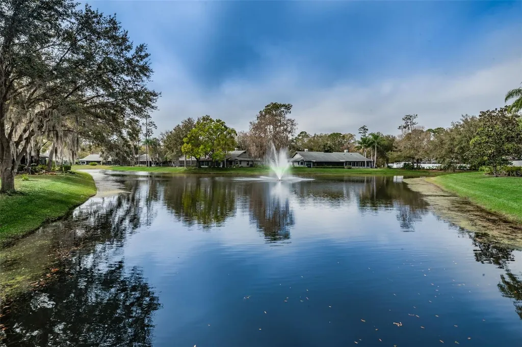 900 Lucas Lane Oldsmar FL 34677