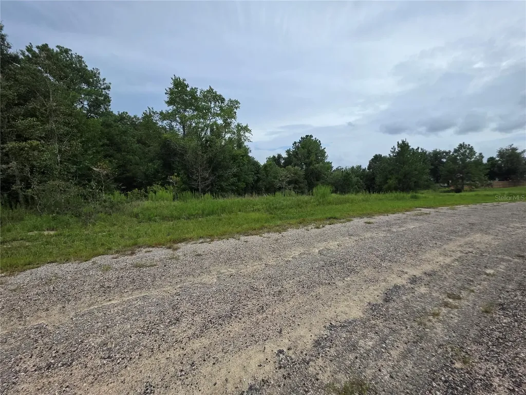 7813 N Cedro Road Dunnellon FL 34434