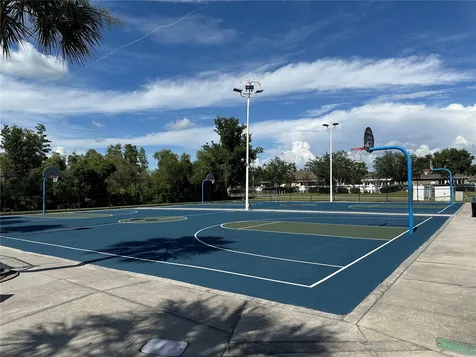 30117 N Mossbank Drive Wesley Chapel FL 33543