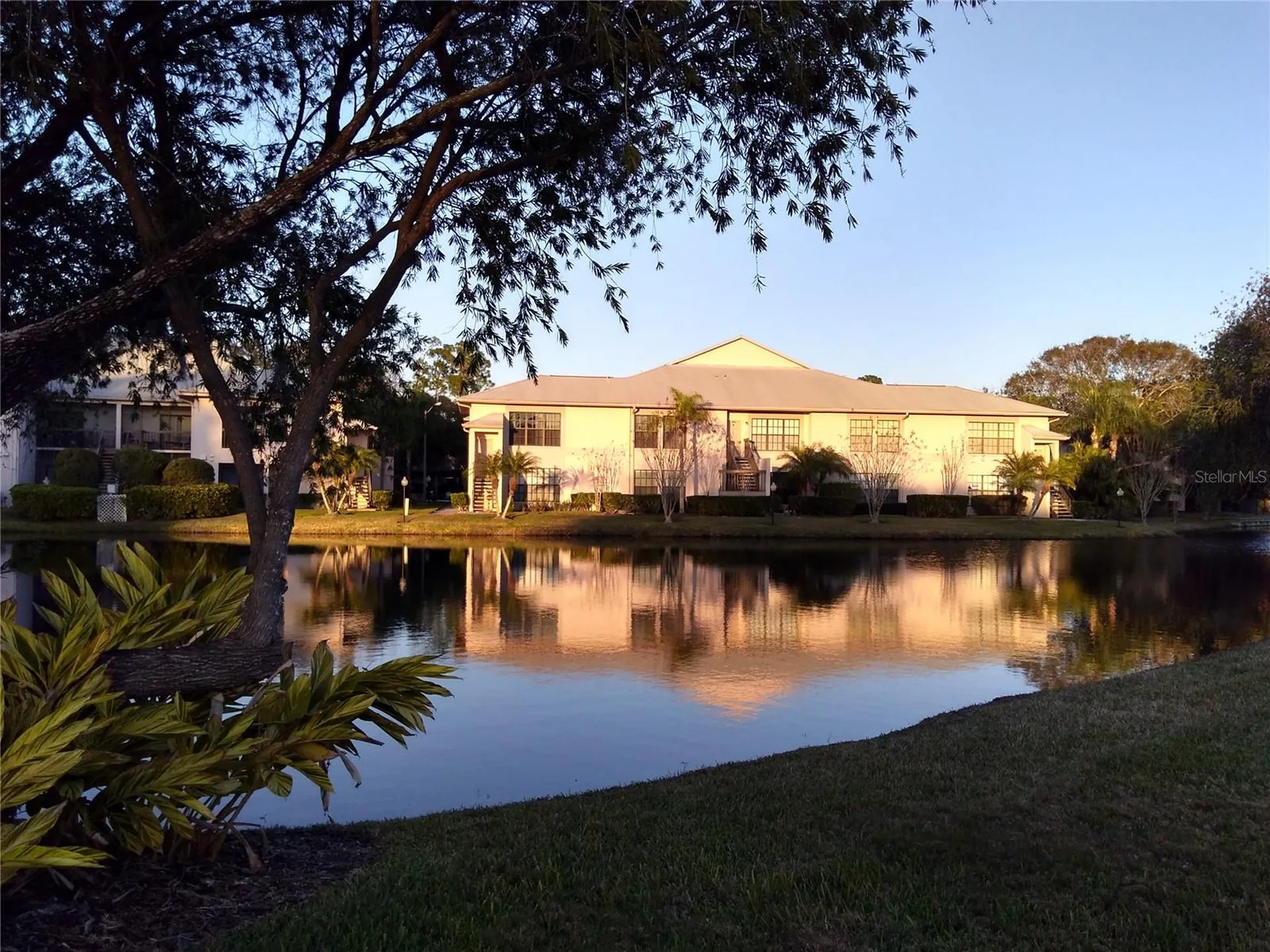 3366 Mermoor Drive Palm Harbor FL 34685