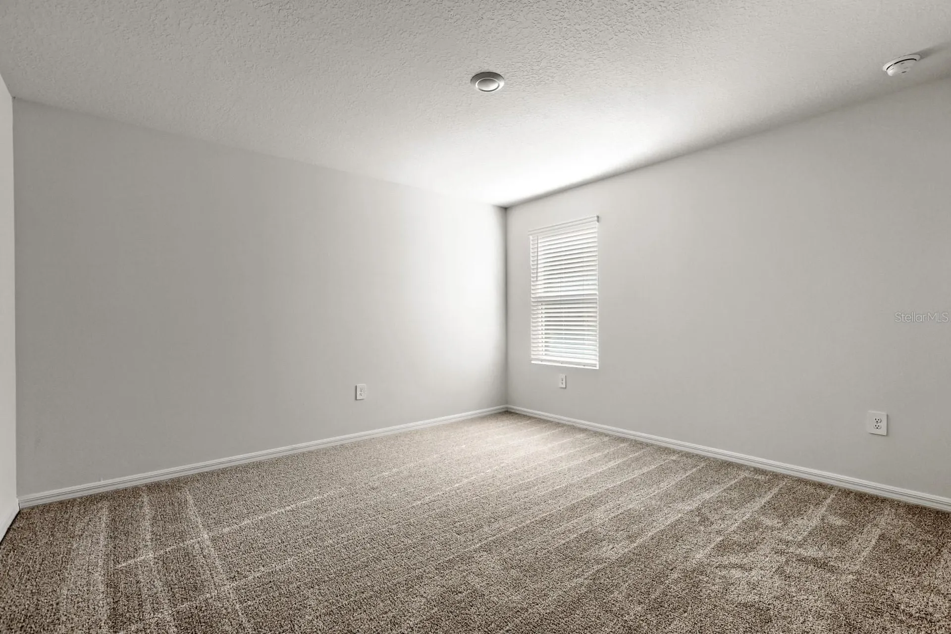 7426 Mia Vine Drive Brooksville FL 34601