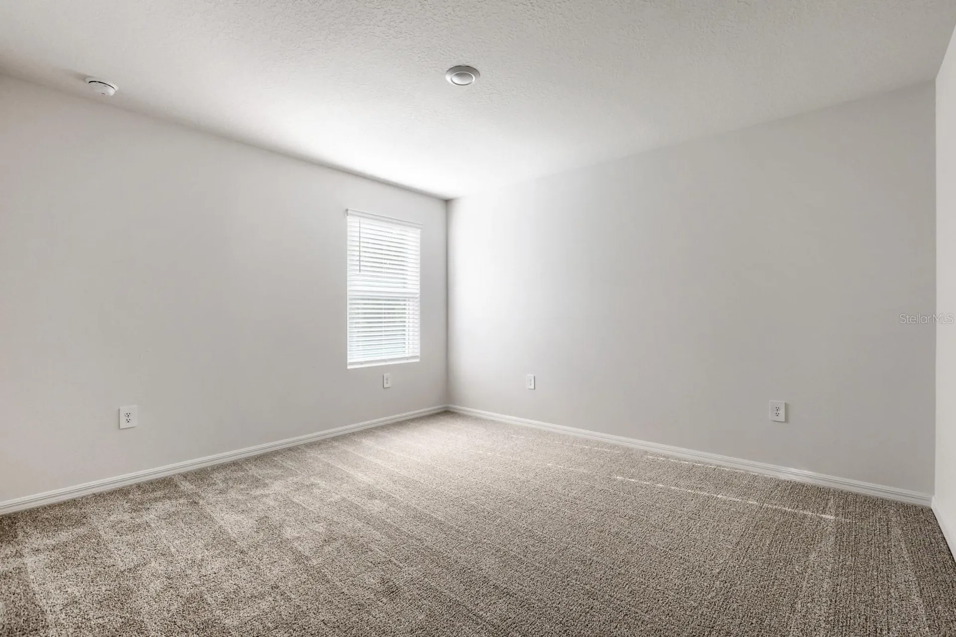 7426 Mia Vine Drive Brooksville FL 34601