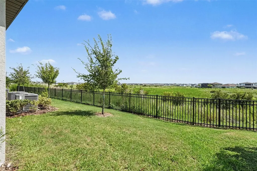 32137 Powderpuff Mimosa Drive San Antonio FL 33576