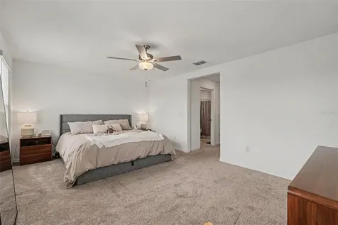32137 Powderpuff Mimosa Drive San Antonio FL 33576