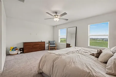 32137 Powderpuff Mimosa Drive San Antonio FL 33576