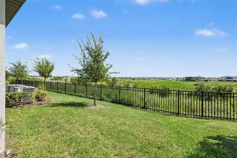 32137 Powderpuff Mimosa Drive San Antonio FL 33576