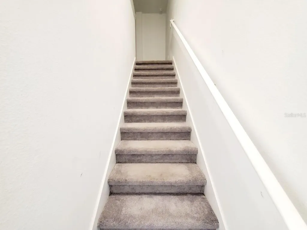 10268 Trumpet Honeysuckle Way San Antonio FL 33576
