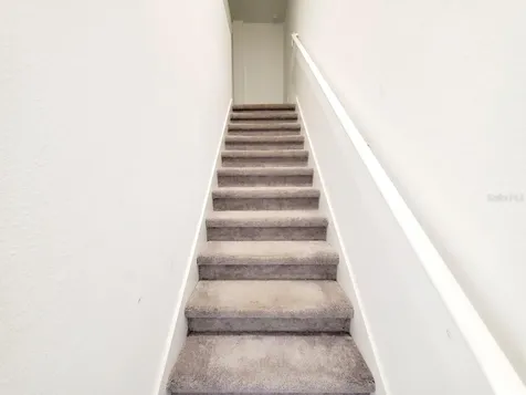 10268 Trumpet Honeysuckle Way San Antonio FL 33576