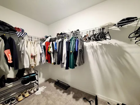 10268 Trumpet Honeysuckle Way San Antonio FL 33576