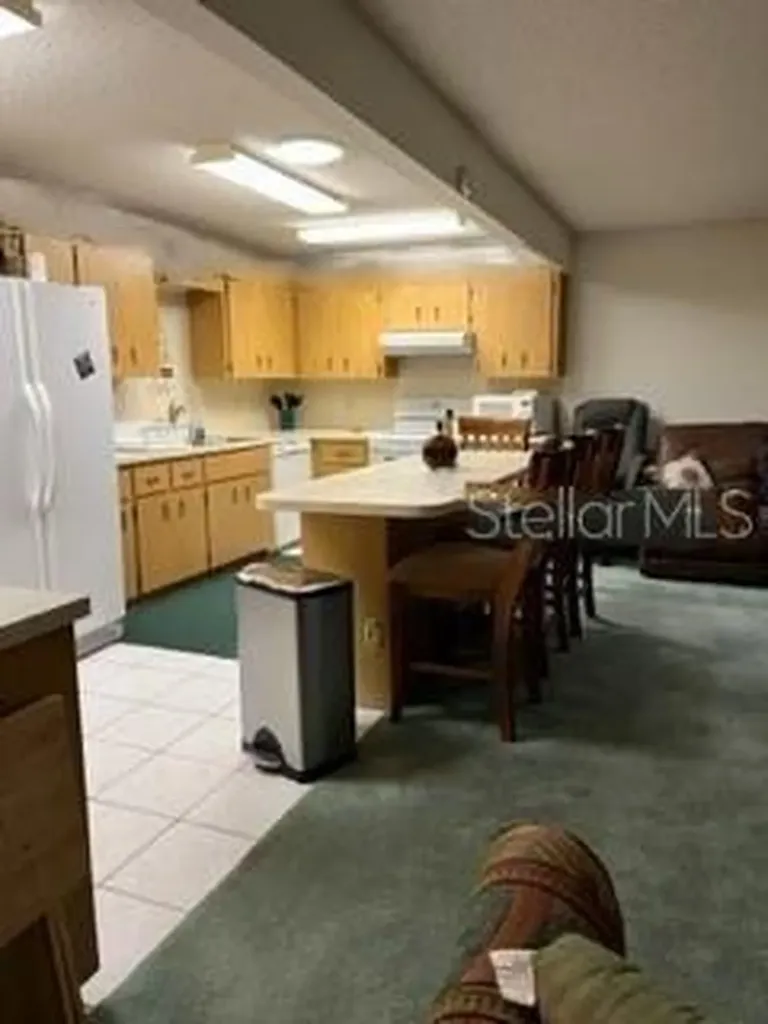 8519 SW 91st Street Ocala FL 34481