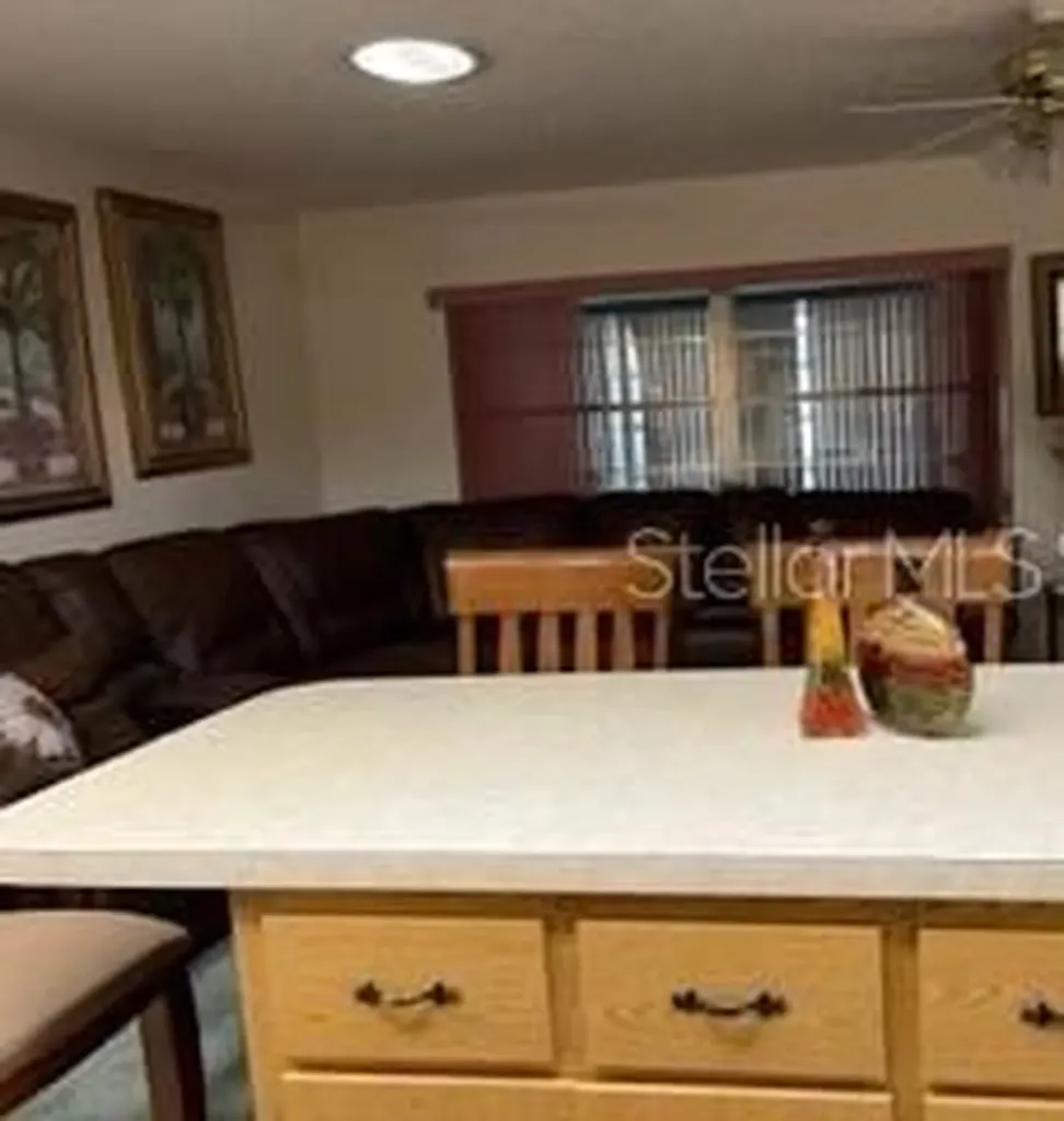 8519 SW 91st Street Ocala FL 34481