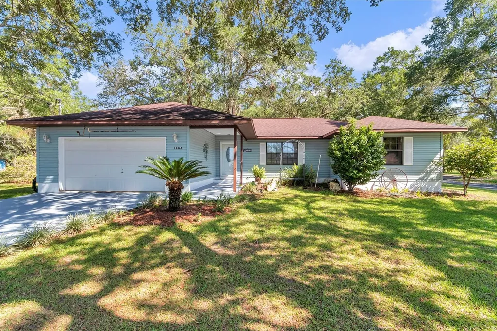 16365 SE 17th Street Ocklawaha FL 32179