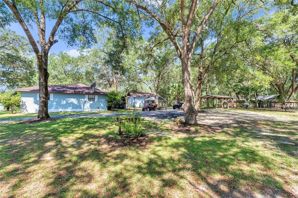 16365 SE 17th Street Ocklawaha FL 32179