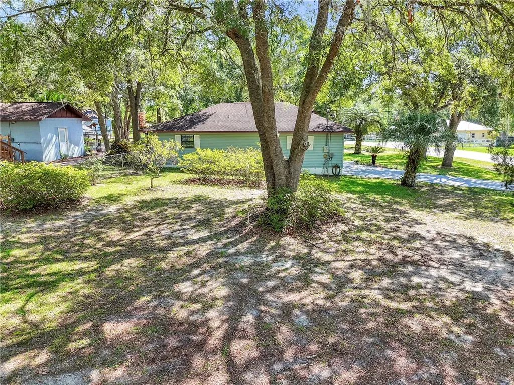 16365 SE 17th Street Ocklawaha FL 32179
