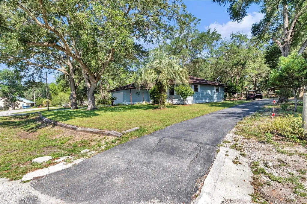 16365 SE 17th Street Ocklawaha FL 32179
