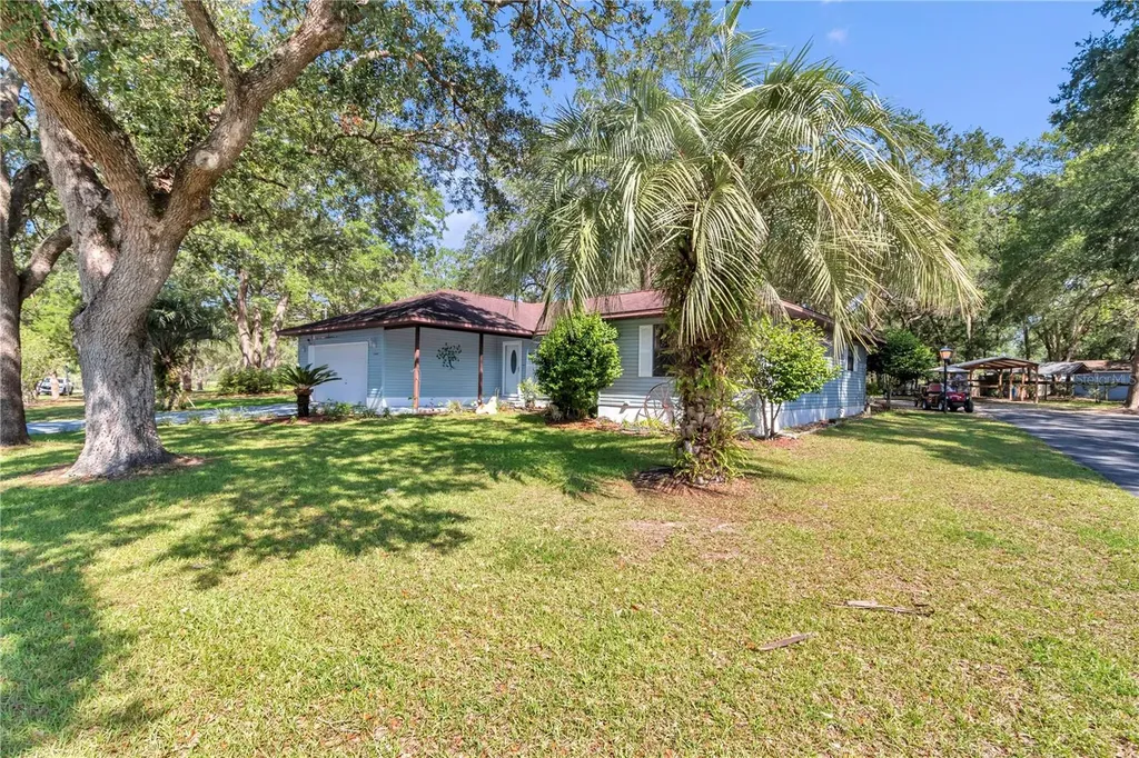 16365 SE 17th Street Ocklawaha FL 32179