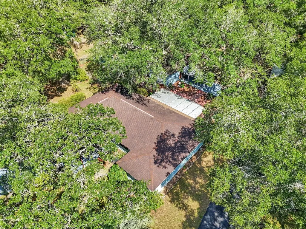 16365 SE 17th Street Ocklawaha FL 32179