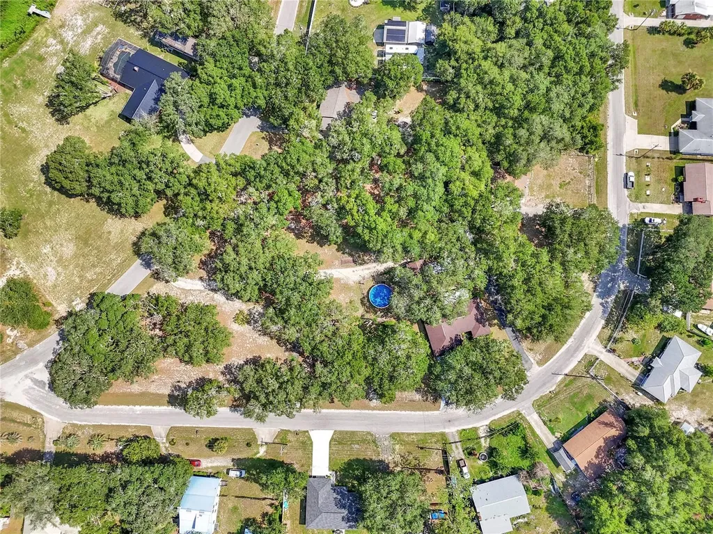 16365 SE 17th Street Ocklawaha FL 32179