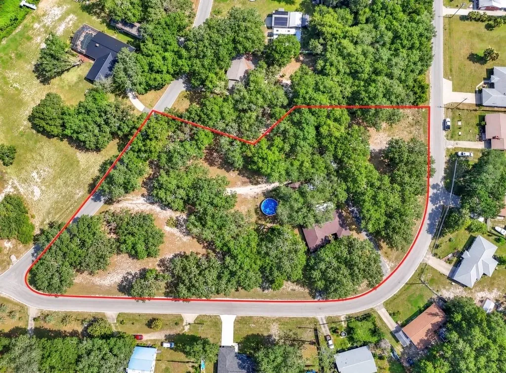 16365 SE 17th Street Ocklawaha FL 32179
