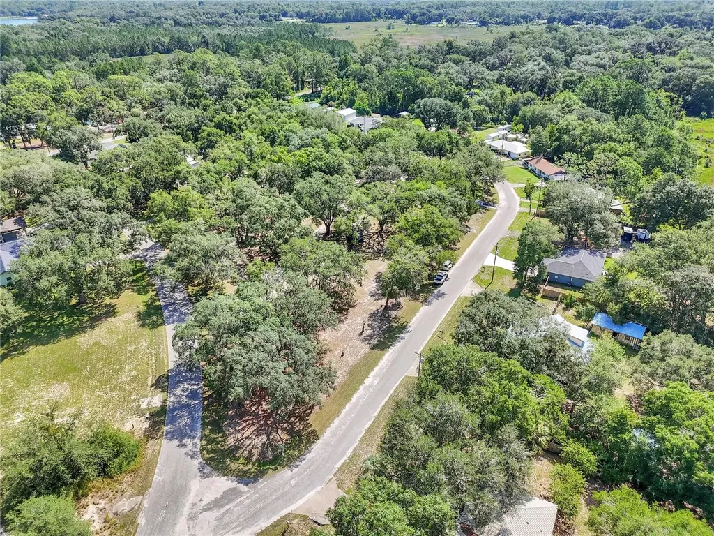 16365 SE 17th Street Ocklawaha FL 32179