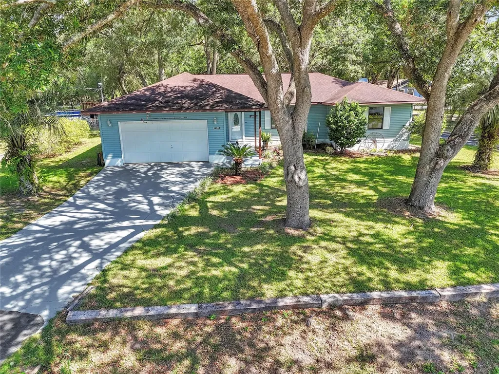 16365 SE 17th Street Ocklawaha FL 32179