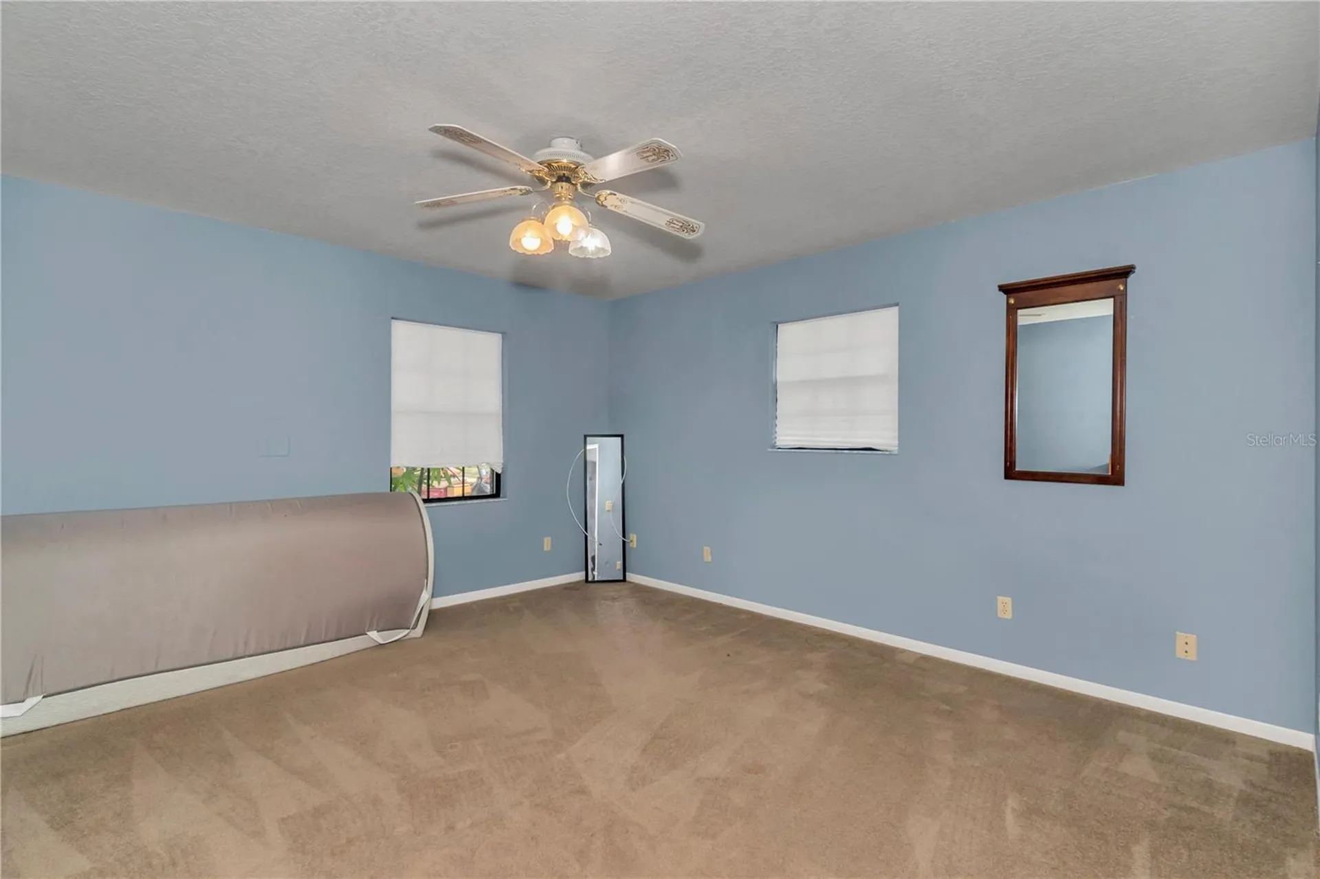 16365 SE 17th Street Ocklawaha FL 32179