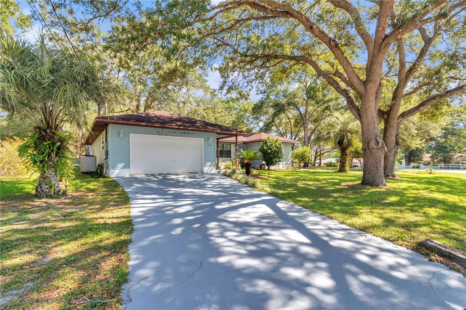 16365 SE 17th Street Ocklawaha FL 32179