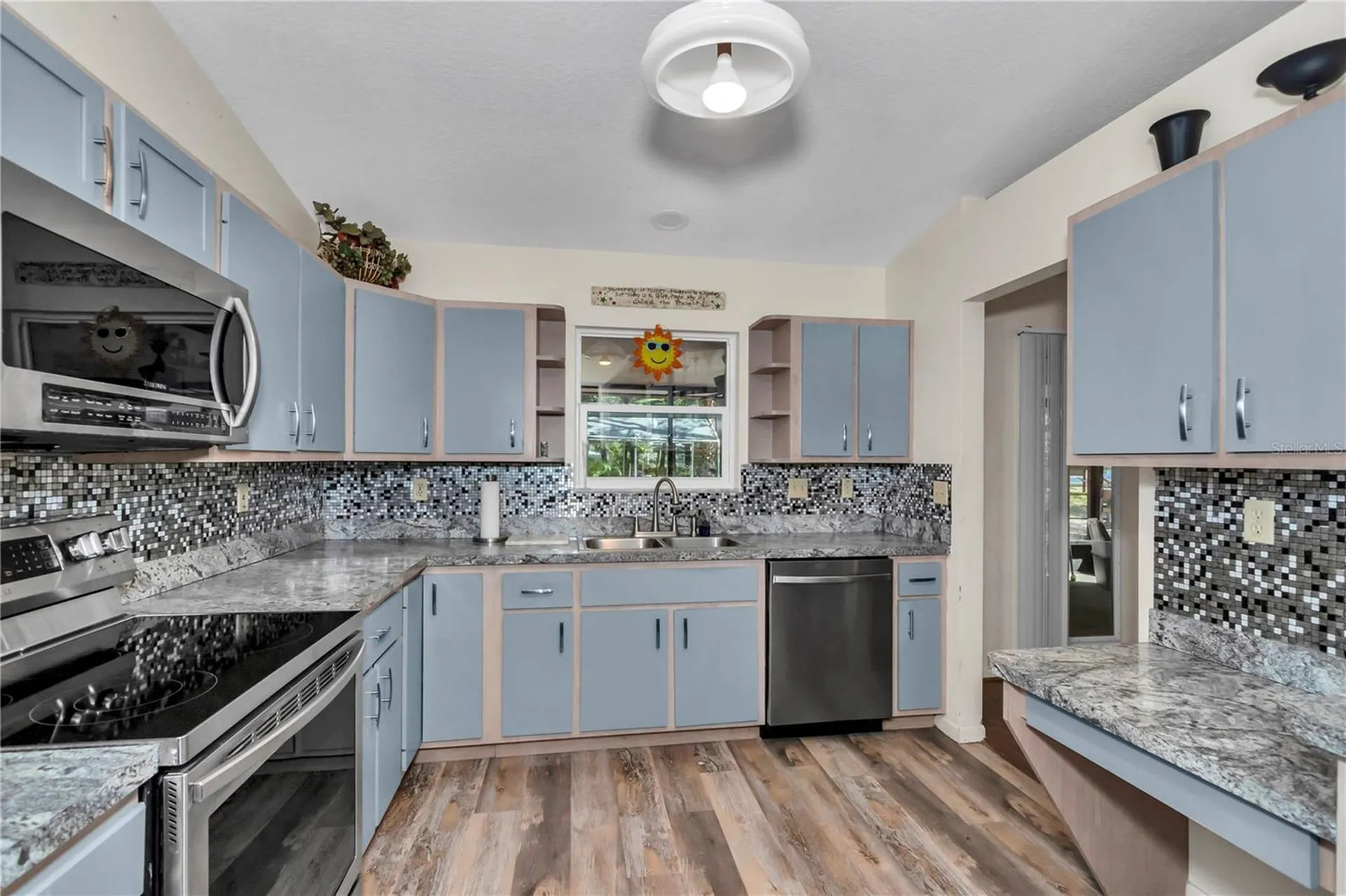 16365 SE 17th Street Ocklawaha FL 32179
