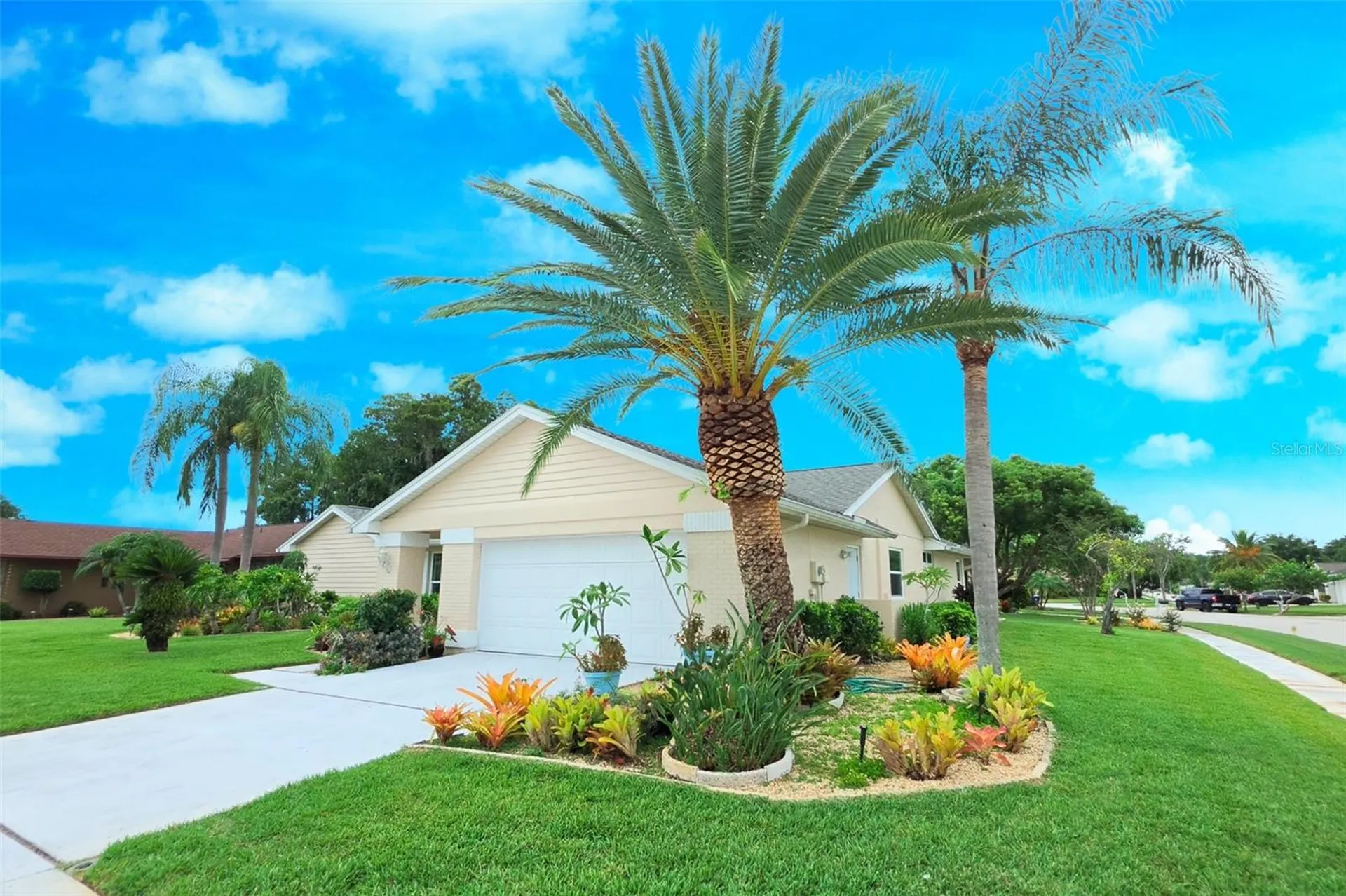 9927 Middlecoff Drive New Port Richey FL 34655