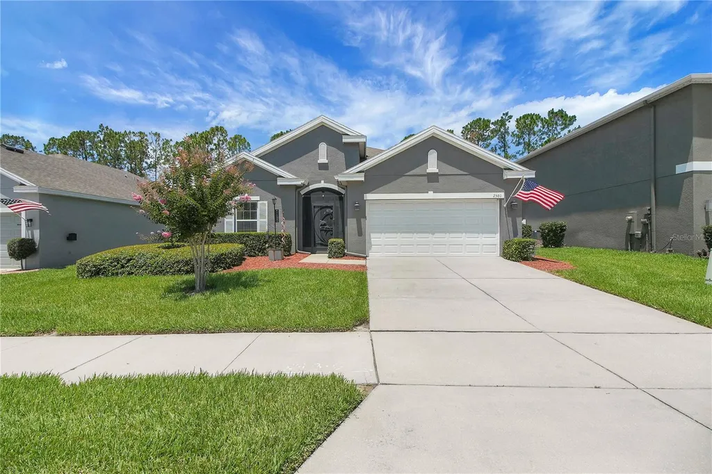 2580 Plumadore Drive Grand Island FL 32735