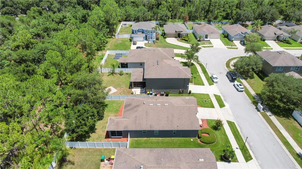 2580 Plumadore Drive Grand Island FL 32735