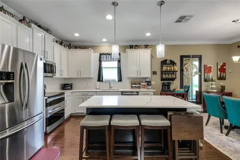 2580 Plumadore Drive Grand Island FL 32735