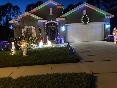 2580 Plumadore Drive Grand Island FL 32735