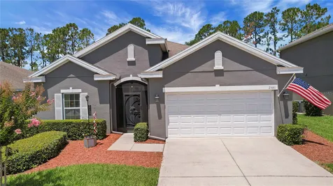 2580 Plumadore Drive Grand Island FL 32735