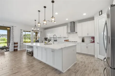12970 Steed Trace Loop Lithia FL 33547