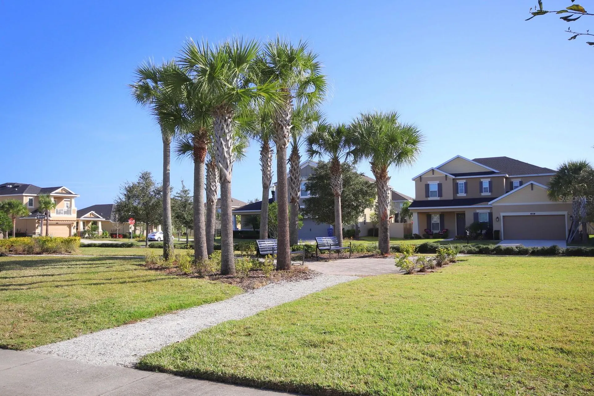 8827 Sentiero Drive Land O Lakes FL 34637
