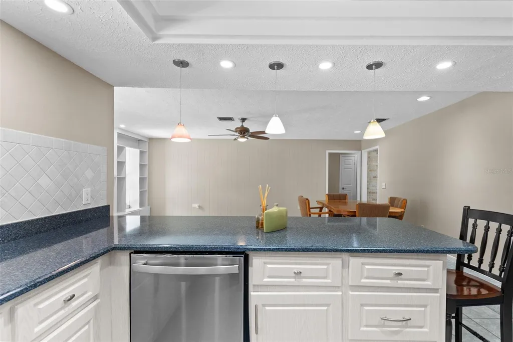 2311 Long Green Court Valrico FL 33596