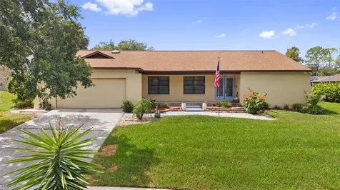 2311 Long Green Court Valrico FL 33596