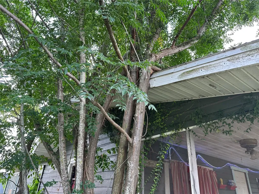 1105 NE 1st Street Mulberry FL 33860