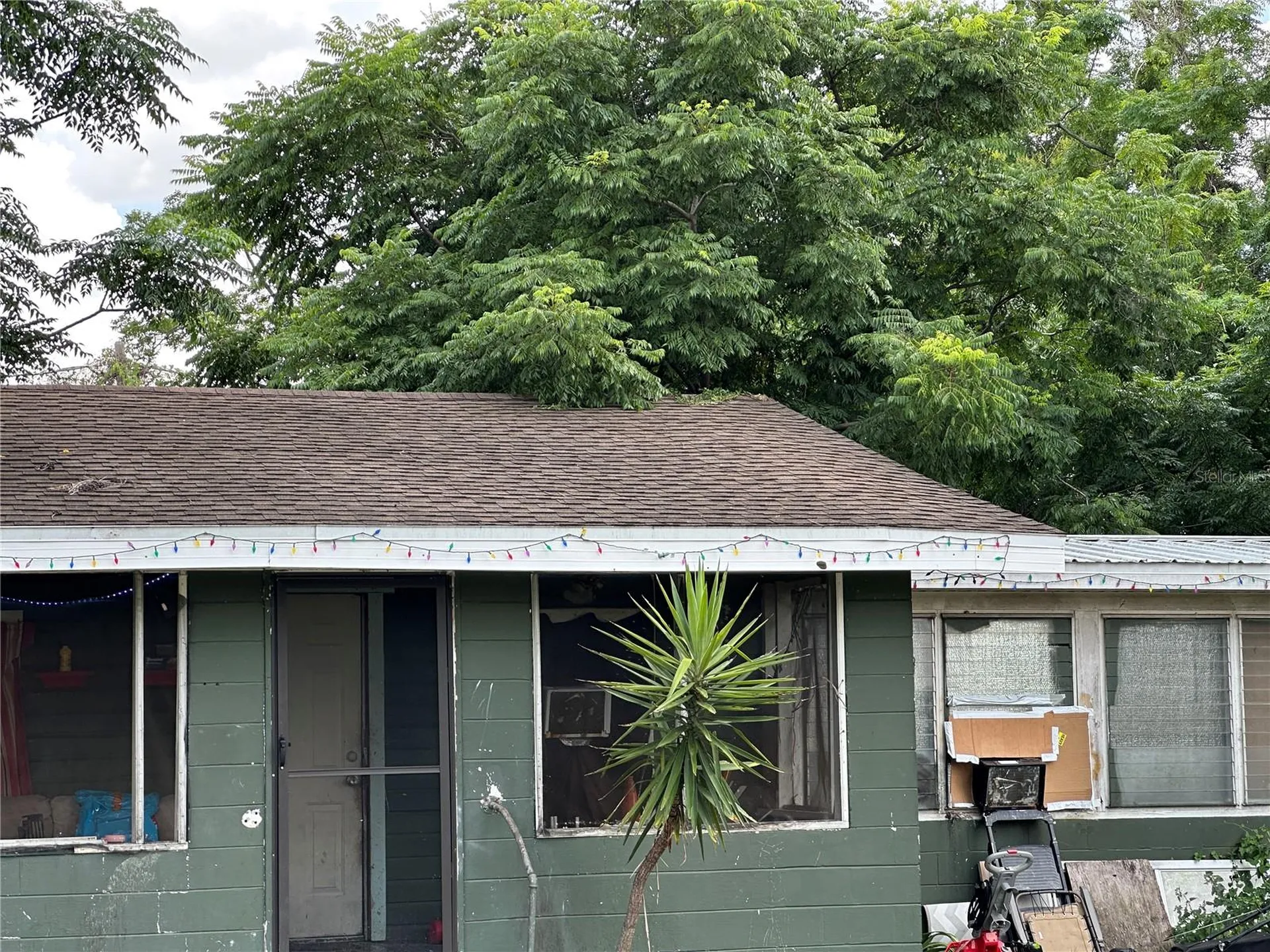 1105 NE 1st Street Mulberry FL 33860